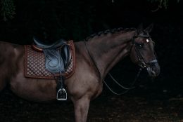 Выездковый вальтрап All in Leather от Equestrian Stockholm