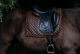 Выездковый вальтрап All in Leather от Equestrian Stockholm