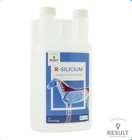 RESULT R-Silicium для связок, сухожилий, сращивания соединительной ткани